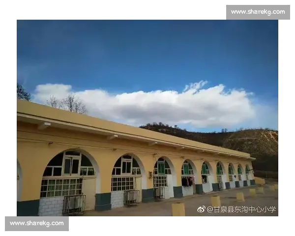 推动社会公平与发展的关键路径聚焦缩小贫富差距与区域发展不均衡问题