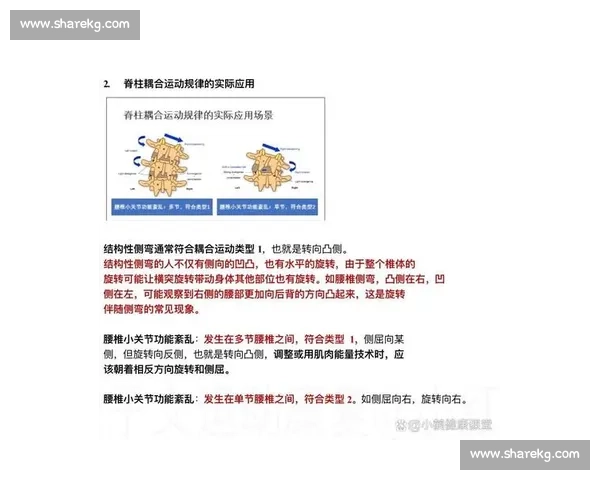 基于功能训练的全面提升方案探索与实践应用分析