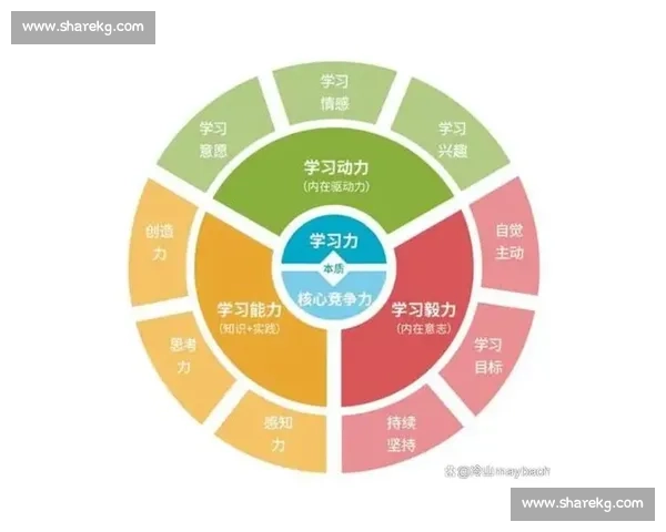 全面提升个人核心能力的实用方法与系统策略指南