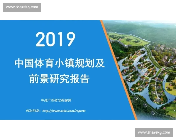 体育产业发展战略与城市综合规划协同推动研究
