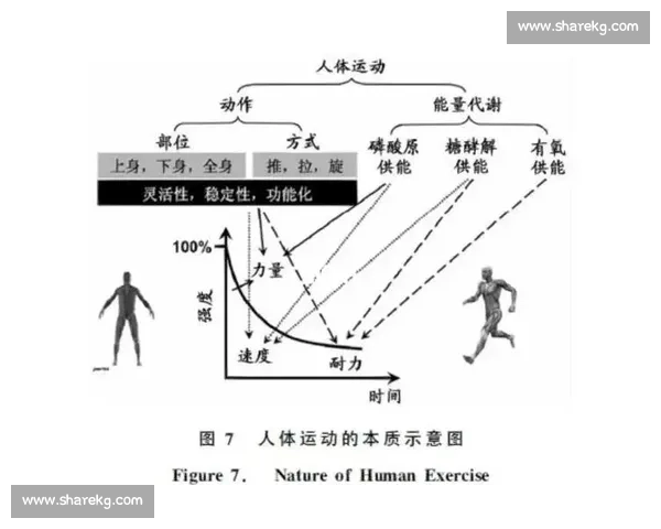 基于体育科学的运动表现提升与体能优化研究
