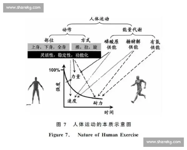爆发力训练全方位提升运动表现与体能潜能的实用方法